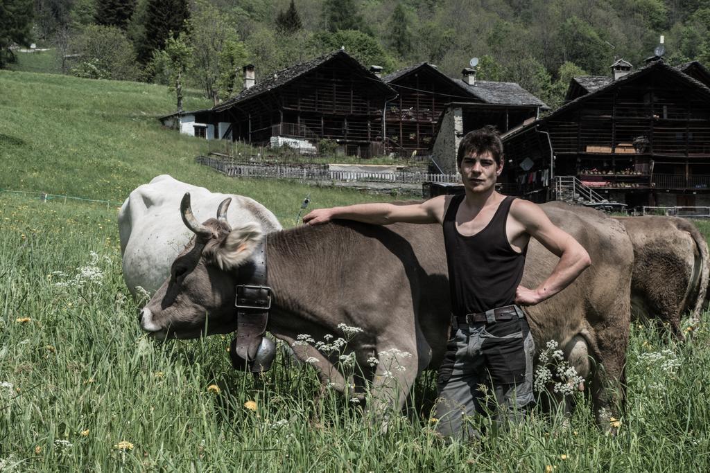 Agriturismo Alagna Εξωτερικό φωτογραφία
